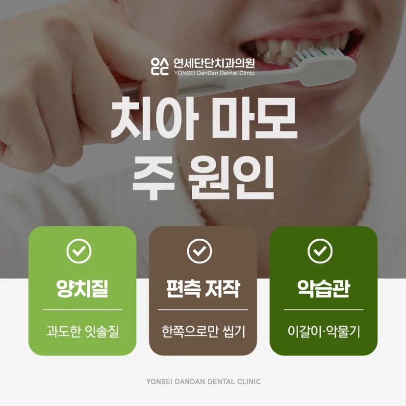 치아 마모 원인