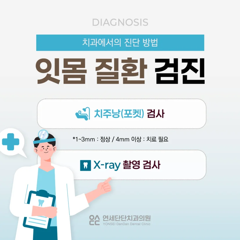 잇몸질환 검진