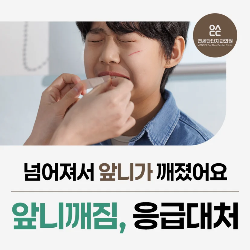 '치아 파절 응급대처' 표지