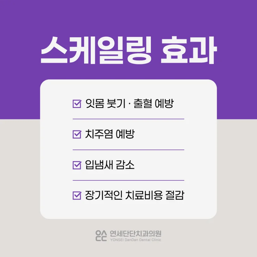 스케일링 효과