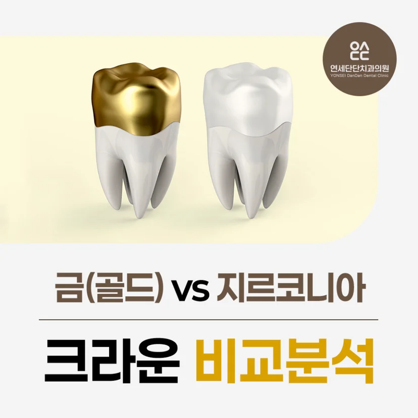 크라운 비교분석 표지