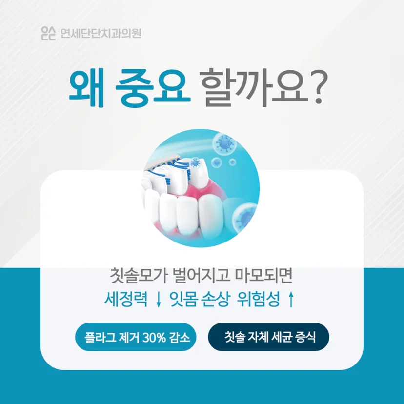 칫솔 교체 주기 중요성