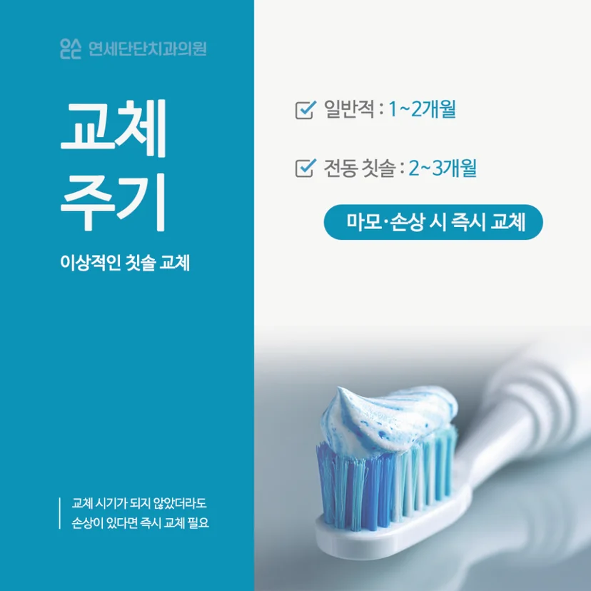 칫솔 교체 주기