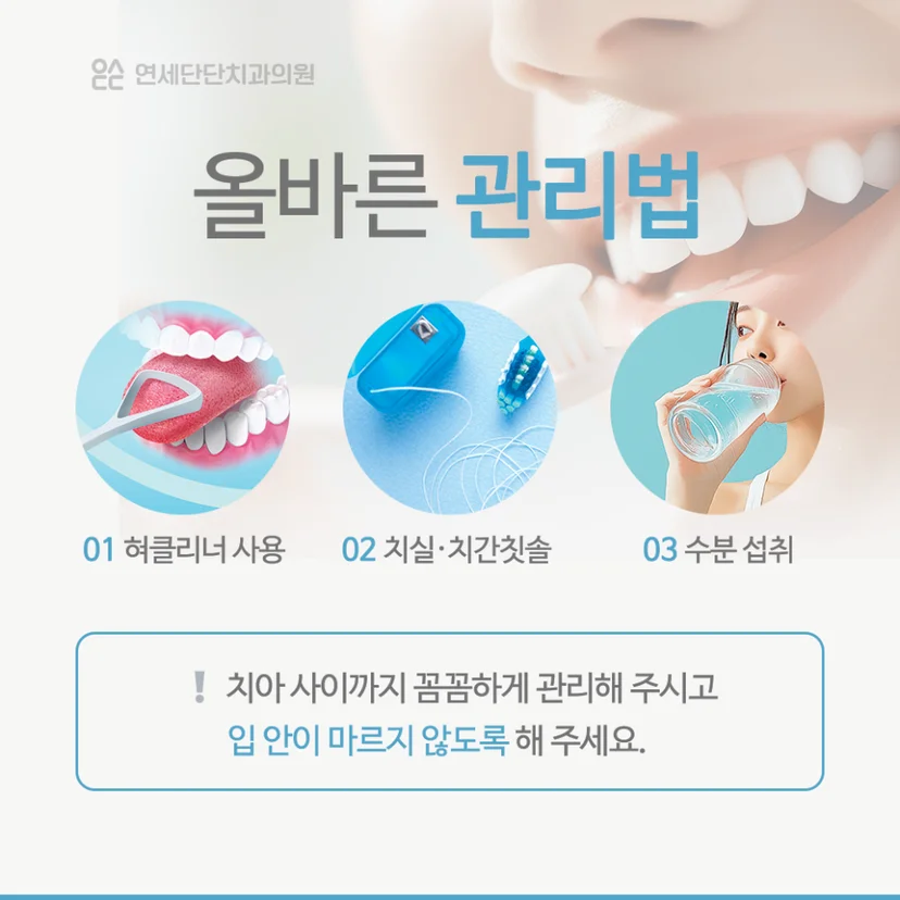 입냄새 관리법