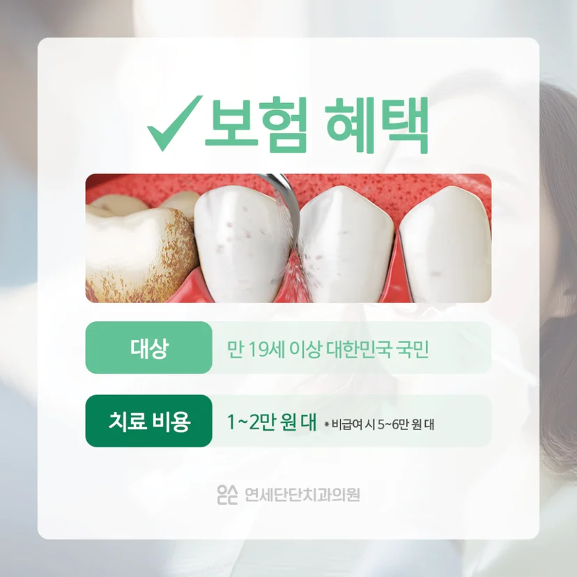 2026년 스케일링 보험 혜택