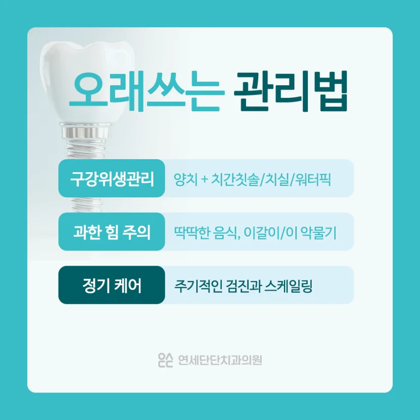 임플란트 관리법