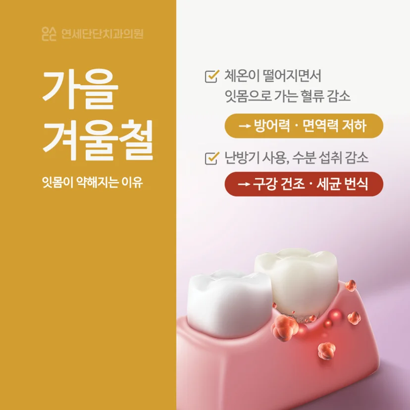 가을 겨울철 잇몸이 취약한 이유