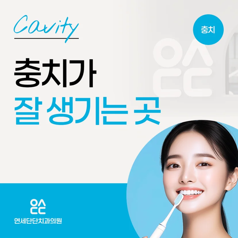 충치가 잘 생기는 곳 표지