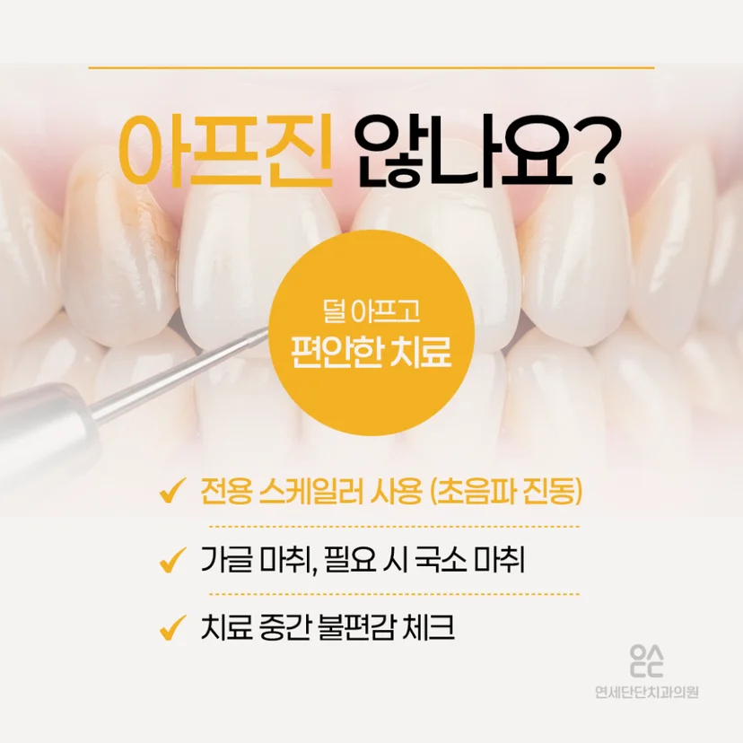 스케일링 통증