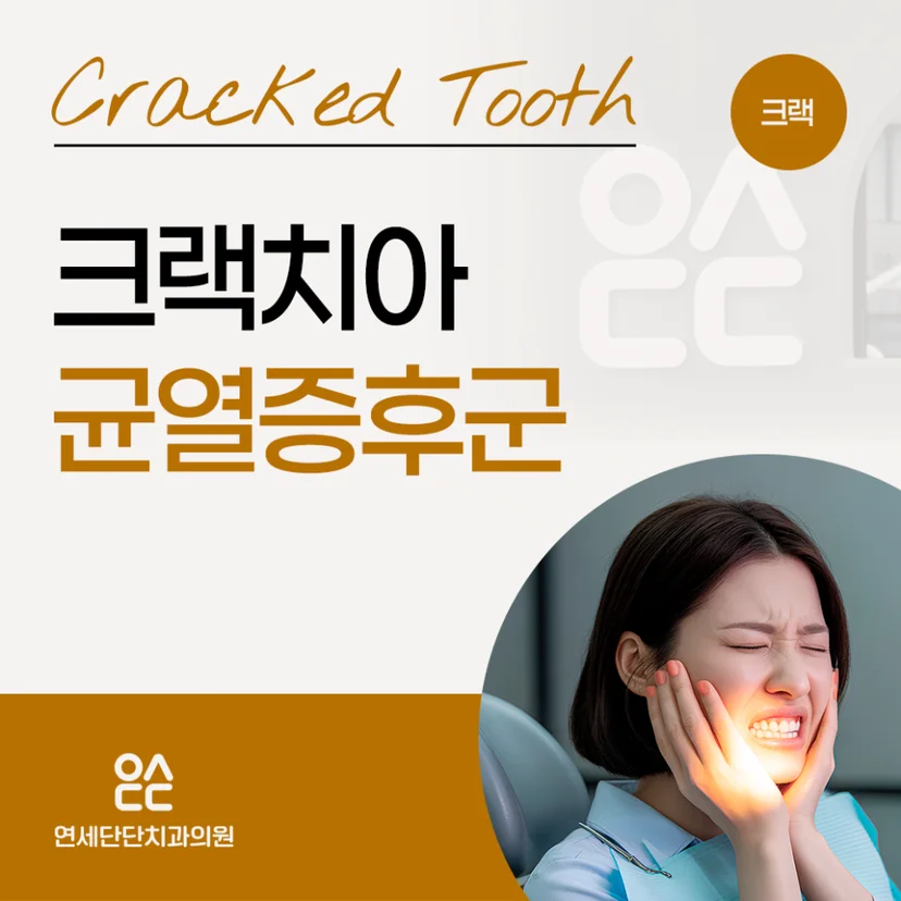 크랙치아 표지