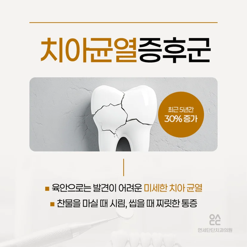크랙치아 설명