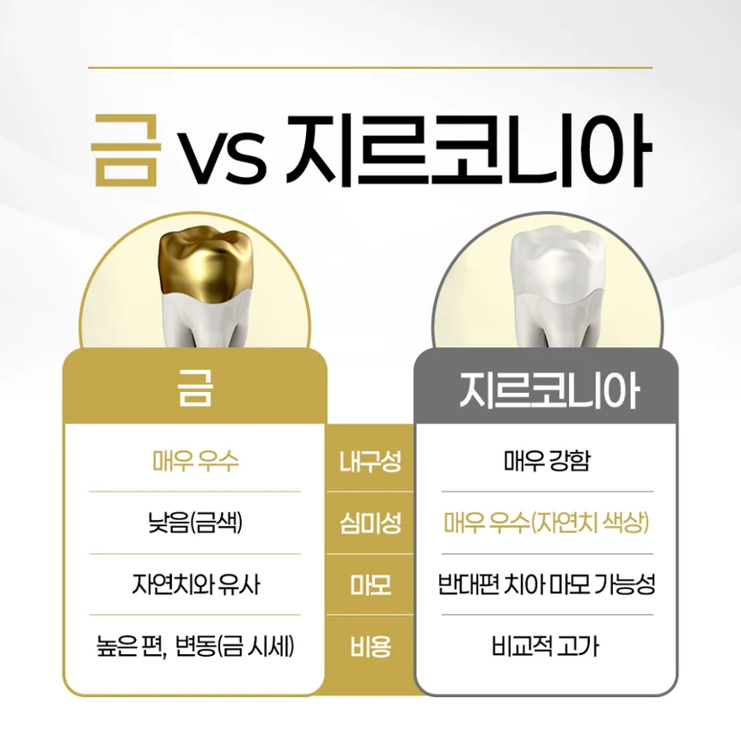 금 vs 지르코니아