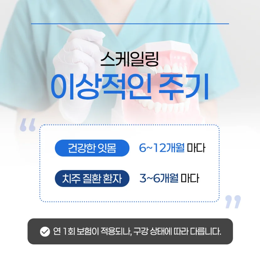 스케일링 주기