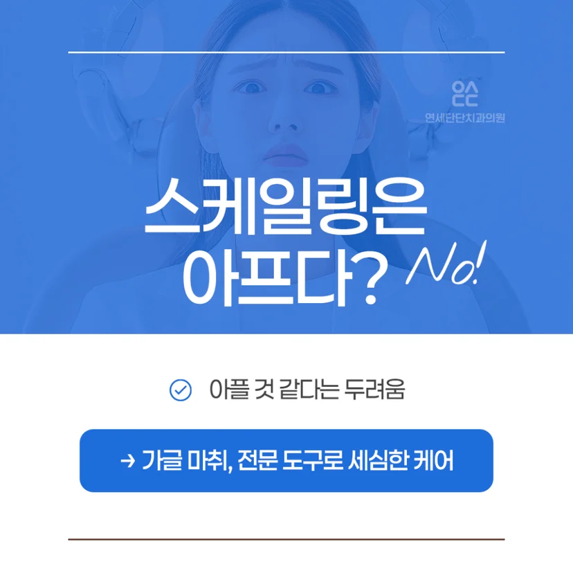 스케일링 통증 오해