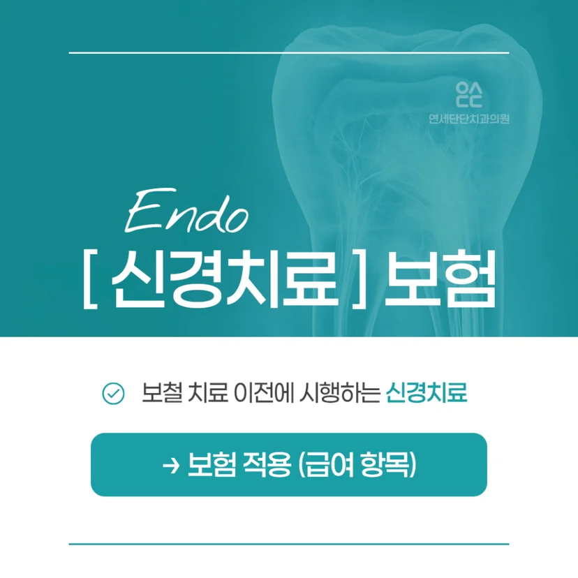 신경치료 보험