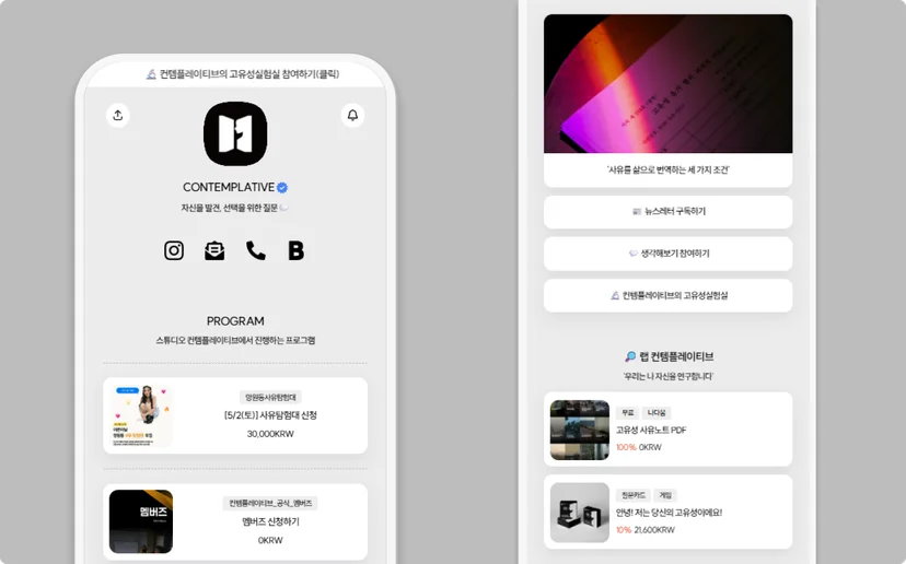 리틀리 온라인 수익화 예시