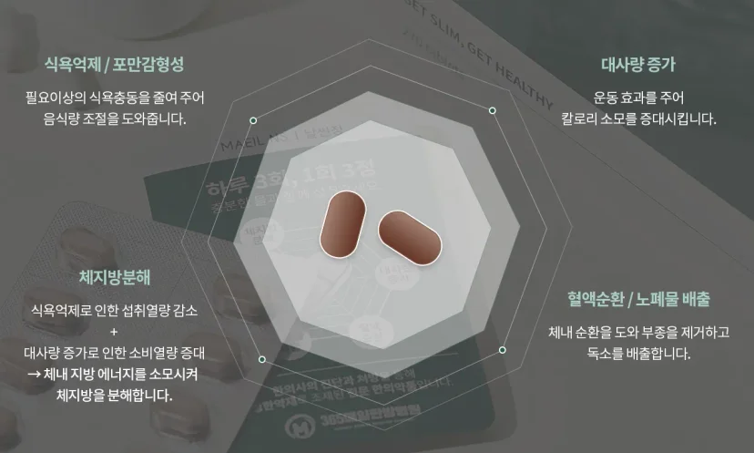 365매일한방병원 | 동대문점 다이어트