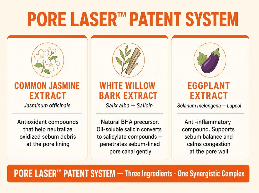 Papa Recipe infographic titled "Pore Laser™ Patent System" showing three ingredients in illustrated cards — common jasmine extract (Jasminum officinale, antioxidant compounds that neutralize oxidized sebum debris at the pore lining), white willow bark extract (Salix alba, natural BHA precursor with oil-soluble salicin that penetrates sebum-lined pore canal), and eggplant extract (Solanum melongena, anti-inflammatory compound that supports sebum balance and calms congestion at the pore wall) — with footer reading "Three Ingredients · One Synergistic Complex"