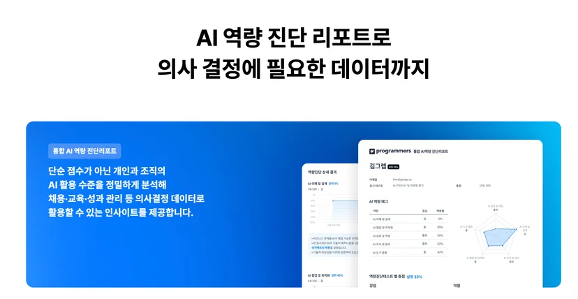 프로그래머스 AI 역량평가의 역량 진단 리포트 예시 이미지