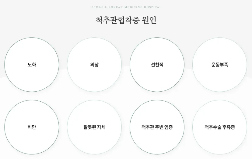 365매일한방병원 | 경기광주점