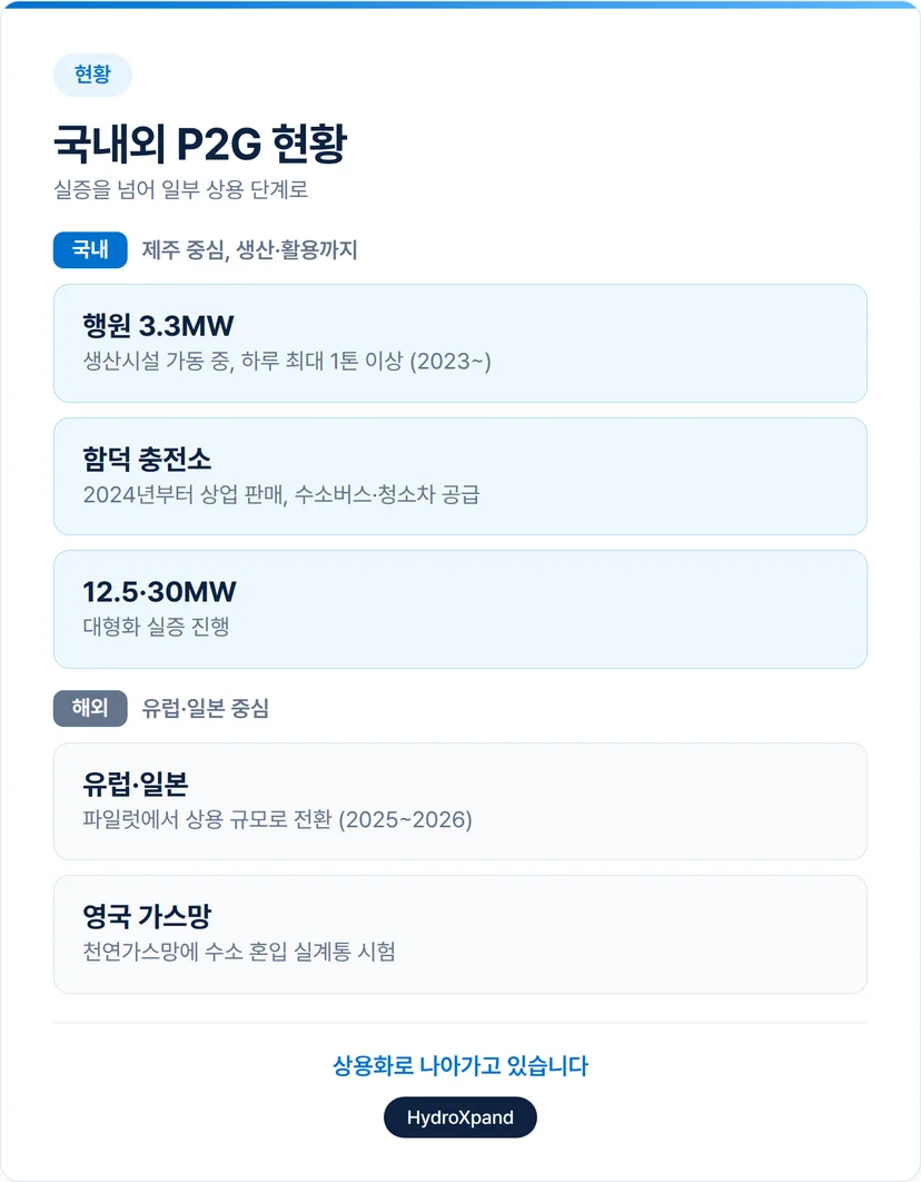 국내외 P2G 현황