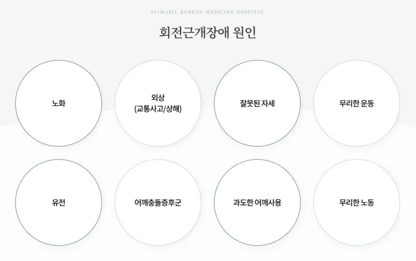 365매일한방병원 | 안양평촌점
