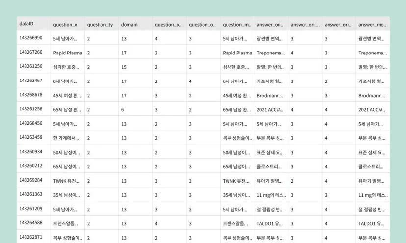 의학 질의응답 데이터셋 테이블 화면. 각 행에는 데이터 ID, 질문 내용, 도메인 번호, 질문 유형, 정답 문항 및 정답 관련 정보가 포함되어 있으며, 의료 분야별 다양한 사례가 데이터로 정리돼 있다.