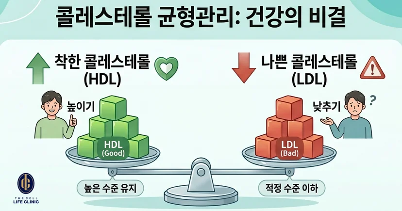 LDL은 낮추고 HDL은 높여, 둘 사이의 균형을 맞추는 것입니다
