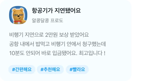 비행기 지연으로 2만원 보상 받았어요. 공항 내에서 밥먹고 비행기 안에서 청구했는데 10분도 안되어 바로 입금됐어요
