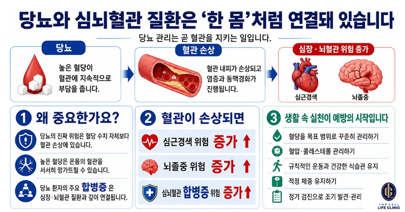 높은 혈당은 혈관에 지속적으로 부담을 주고, 그때 혈관 손상 가능성이 커지고, 그로 인해서 심뇌혈관 위험이 증가할 수 있다
