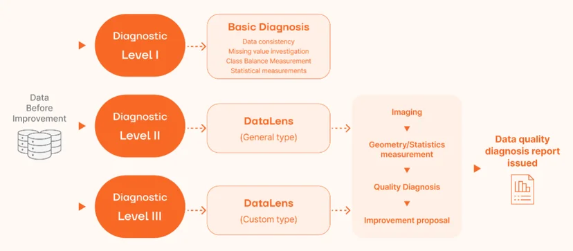 Data Clinic's Data Quality Assessment Process