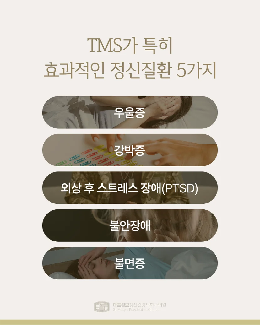 TMS가 효과적인 정신질환