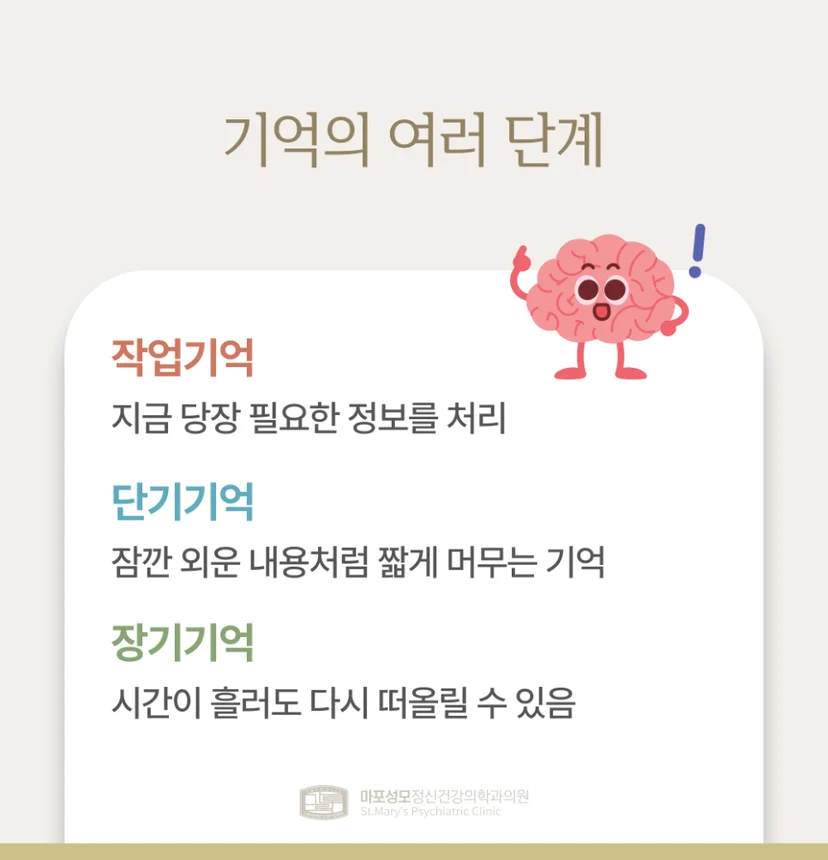 기억의 단계