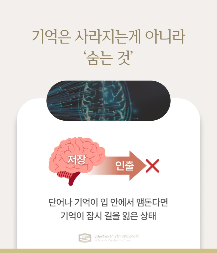 기억력 원리