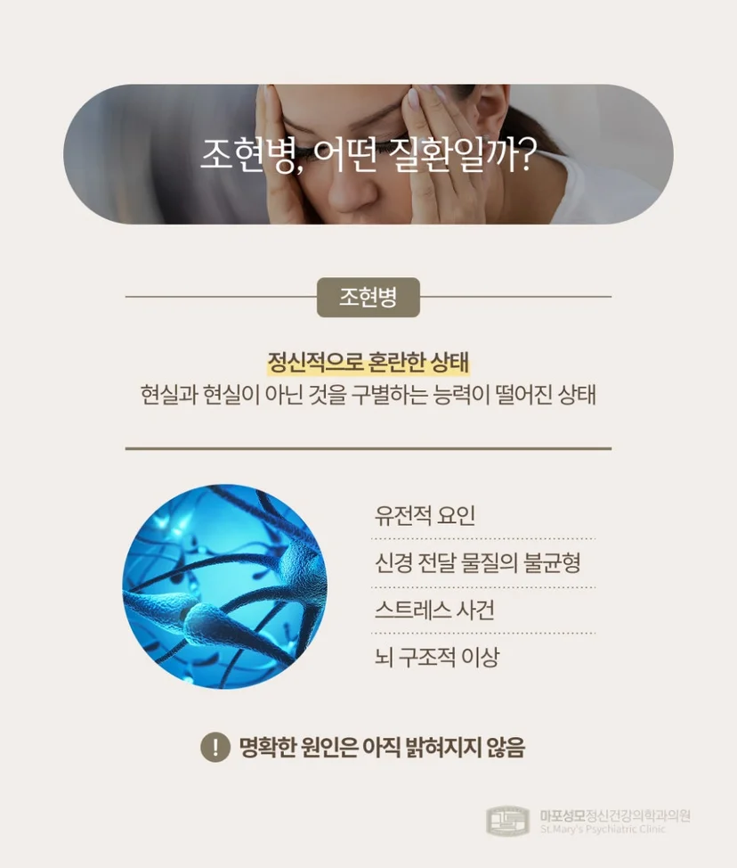 조현병 정의