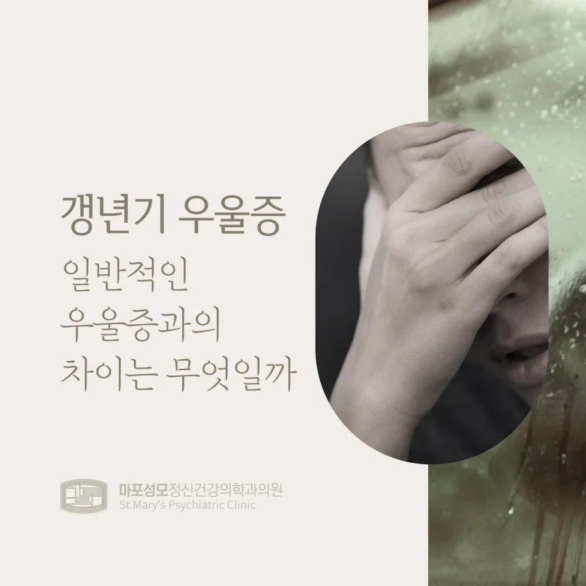 갱년기 우울증 표지