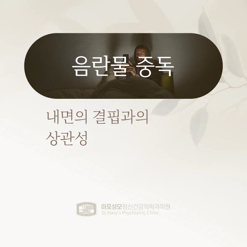 음란물 중독 표지