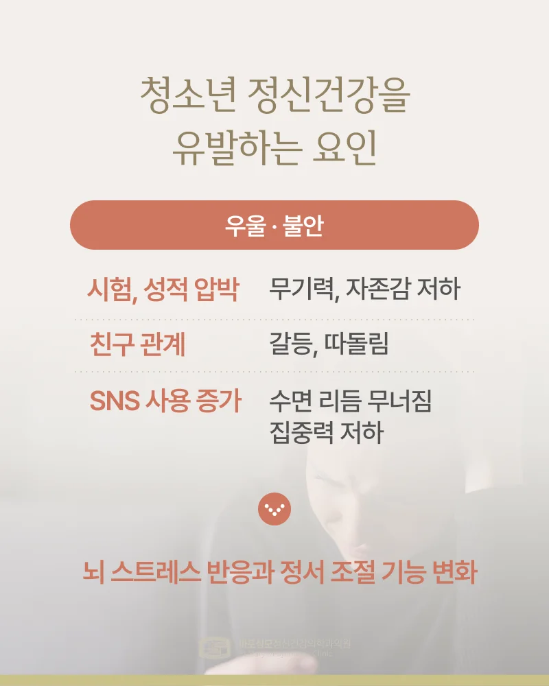 청소년 정신건강 문제 원인