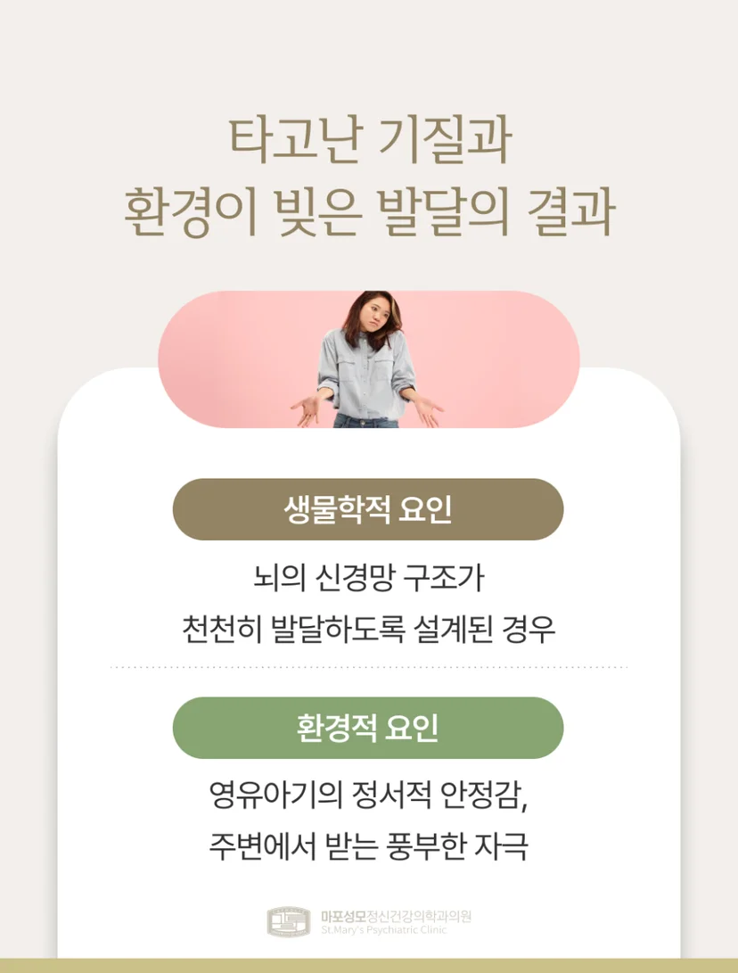 경계성 지능 요인