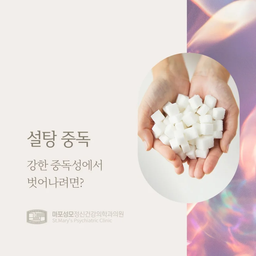 설탕 중독 표지