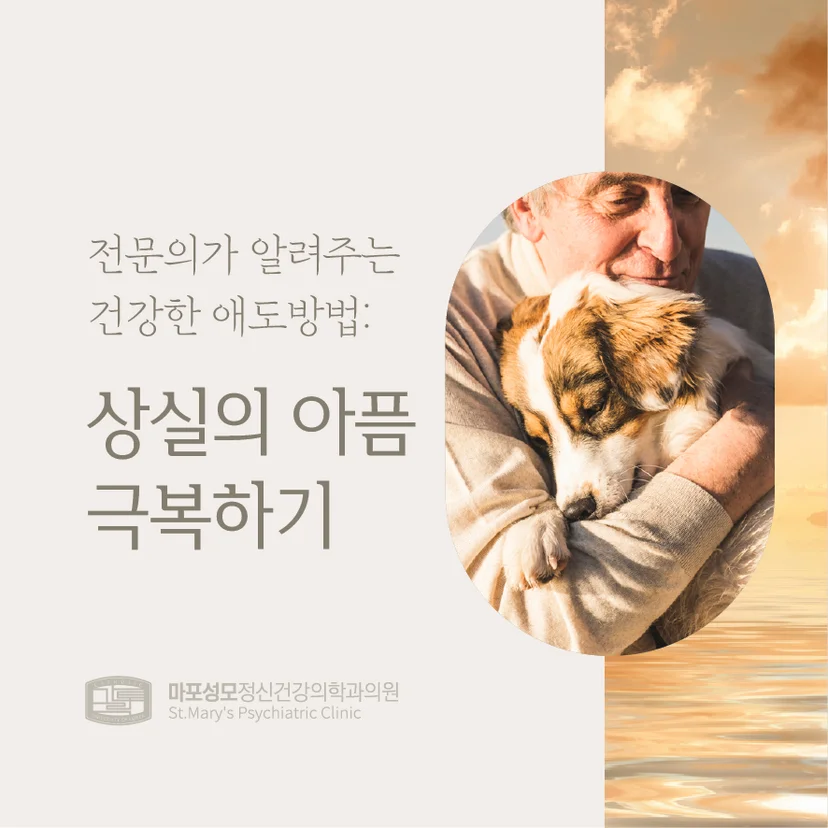 상실의 아픔 표지