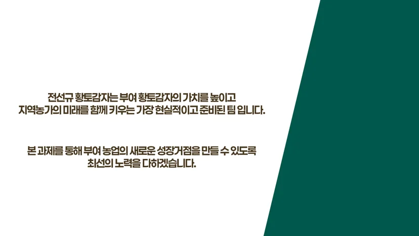 초기창업패키지 PPT 발표자료