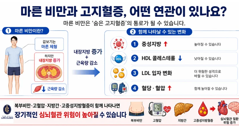 마른비만과 고지혈증 연관성에 대해서 