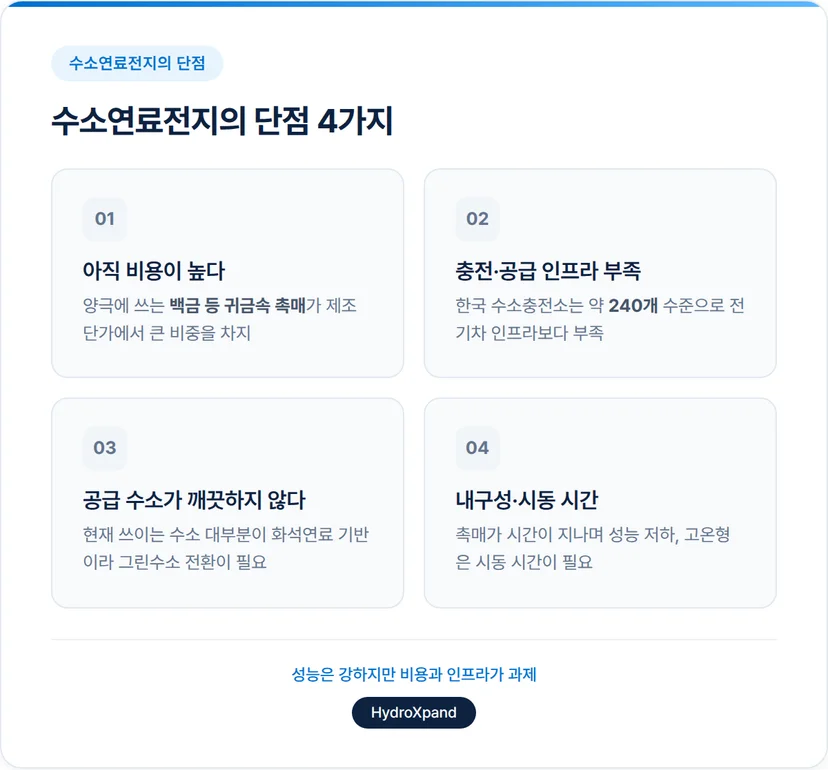 수소연료전지의 단점