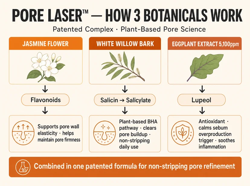 Papa Recipe infographic titled "Pore Laser™ — How 3 Botanicals Work, Patented Complex · Plant-Based Pore Science" showing three botanical illustrations with their active compounds and pore mechanisms — jasmine flower's flavonoids support pore wall elasticity and firmness, white willow bark's salicin converts to salicylate via a plant-based BHA pathway that clears pore buildup for non-stripping daily use, and eggplant extract's lupeol acts as an antioxidant that calms sebum overproduction and soothes inflammation — with footer reading "Combined in one patented formula for non-stripping pore refinement"