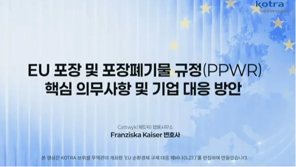 EU PPWR 기업 대응 방안