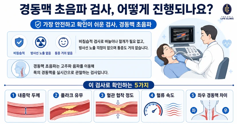 안전하고 확인이 쉬운 검사 경동맥 초음파, 내중막두께, 플라크유무, 혈관이 좁아진 정도, 혈류속도, 좌우 경동맥차이 설명하는 그림