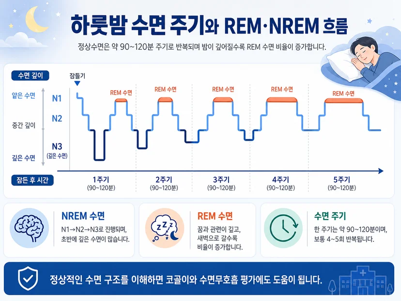 수면주기