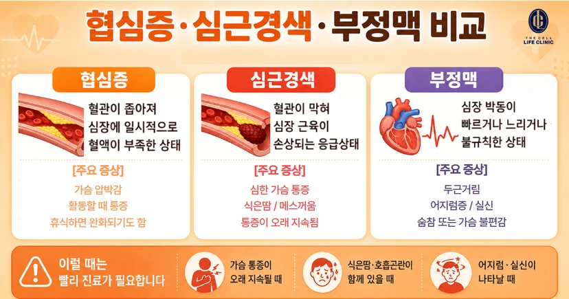 협심증이란, 혈관이 좁아져 심장에 일시적으로 혈액이 부족한 상태, 심근경색은 혈관이 막혀 심장근육이 손상되는 상태를 말하고 있다