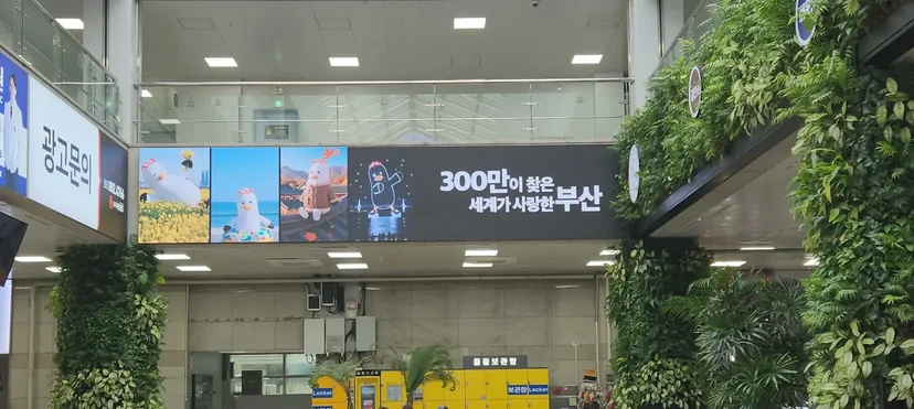 carat-case-busan-real.png